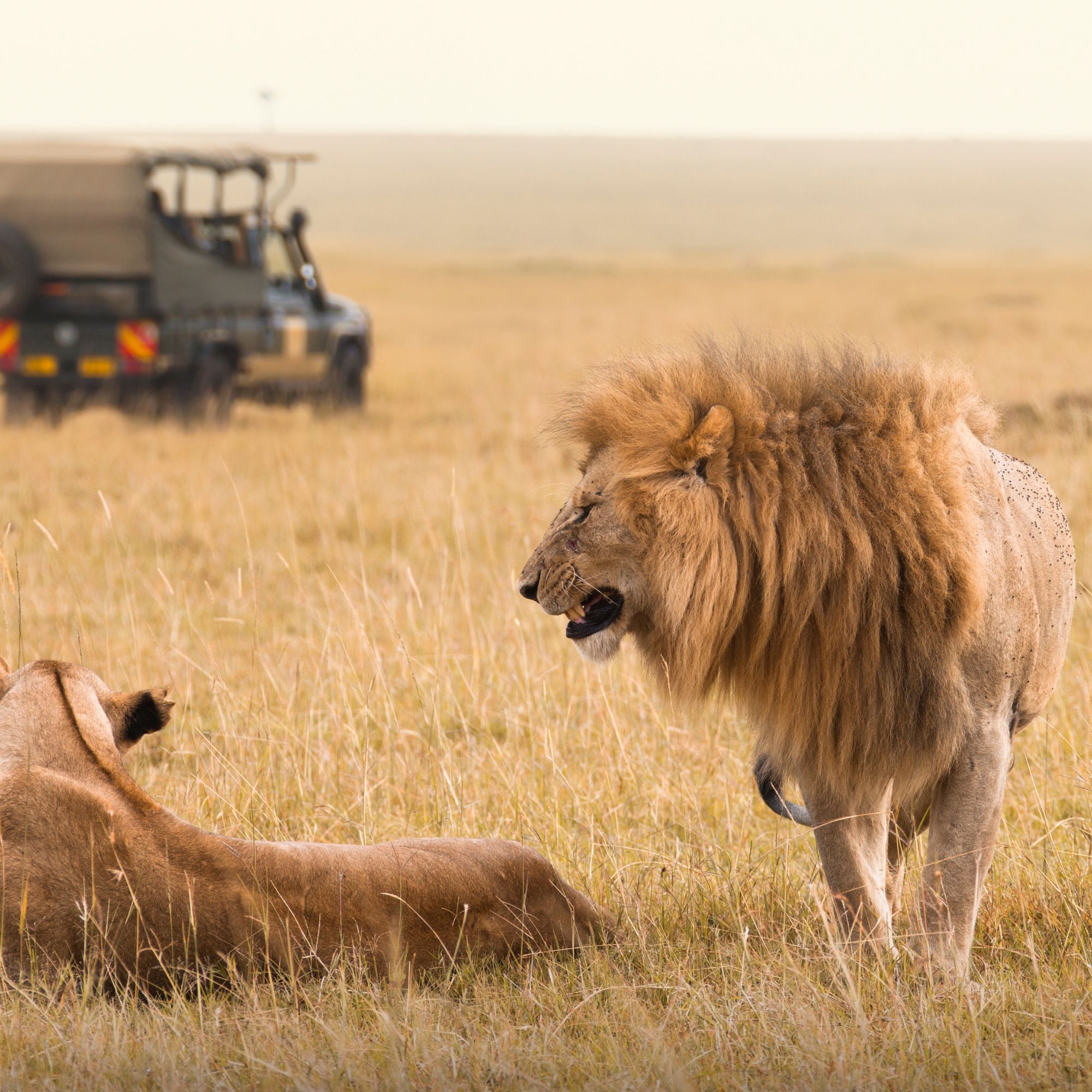 Untitled design - 2024-05-27T104140.703